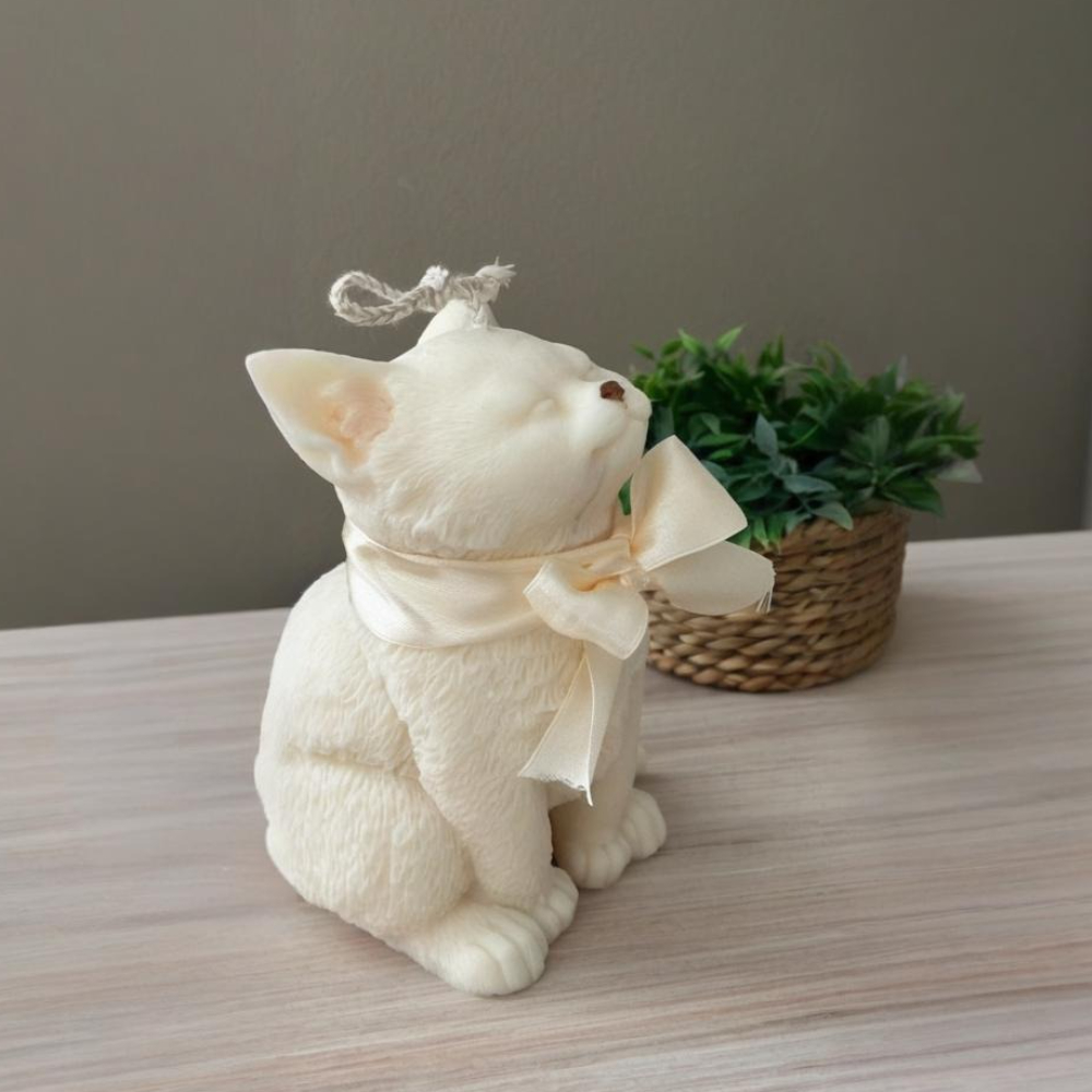 Smile Cat Silicone Mold for DI - огляд і ціна Soap Making Instructions